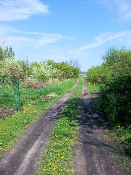 Działka budowlana Brzozowiec. Zdjęcie 7