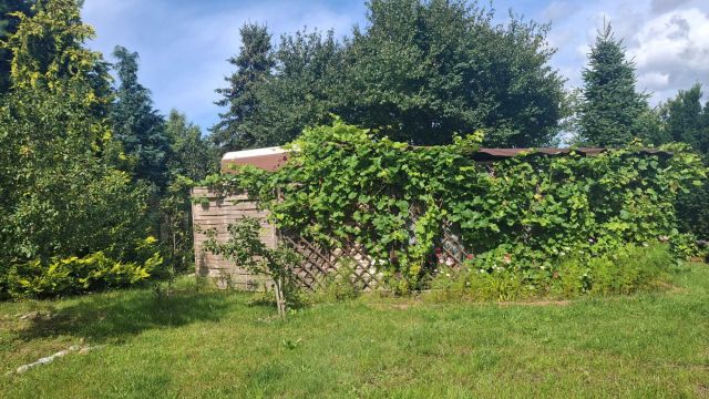 Działka rod Rumia, ul. Kazimierska. Zdjęcie 1