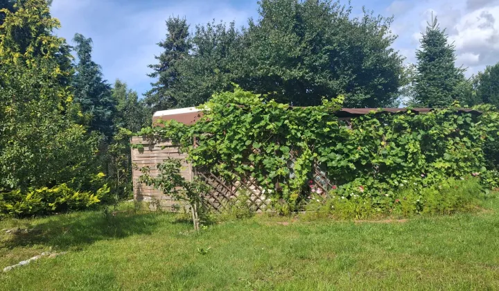 Działka rod Rumia, ul. Kazimierska