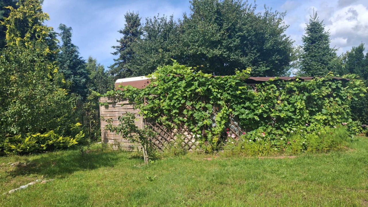 Działka rod Rumia, ul. Kazimierska