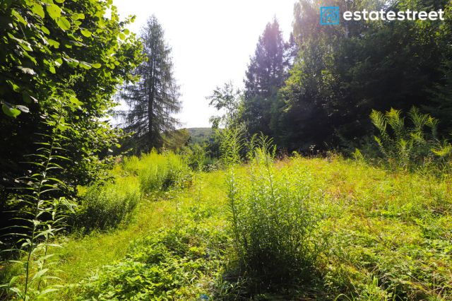 Działka budowlana Nielepice. Zdjęcie 1