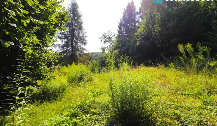 Działka budowlana Nielepice