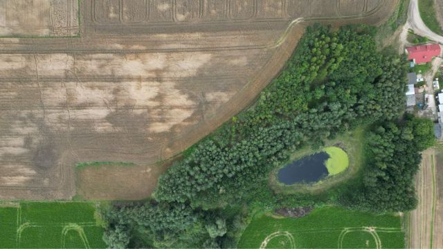 Działka rekreacyjna Gwiździny. Zdjęcie 1