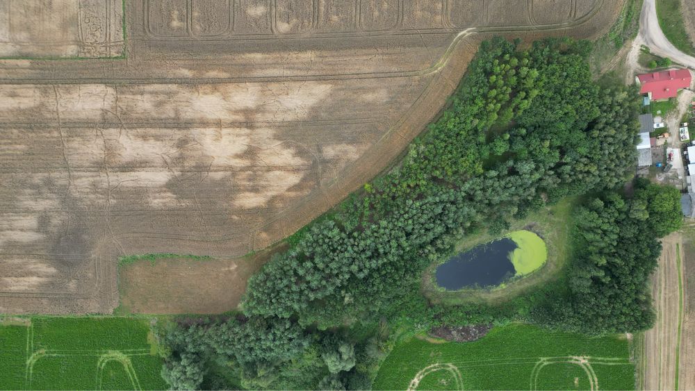 Działka rekreacyjna Gwiździny