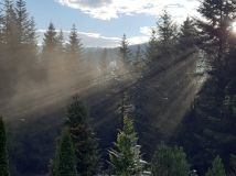 dom wolnostojący, 5 pokoi Poręba Wielka Koninki. Zdjęcie 4