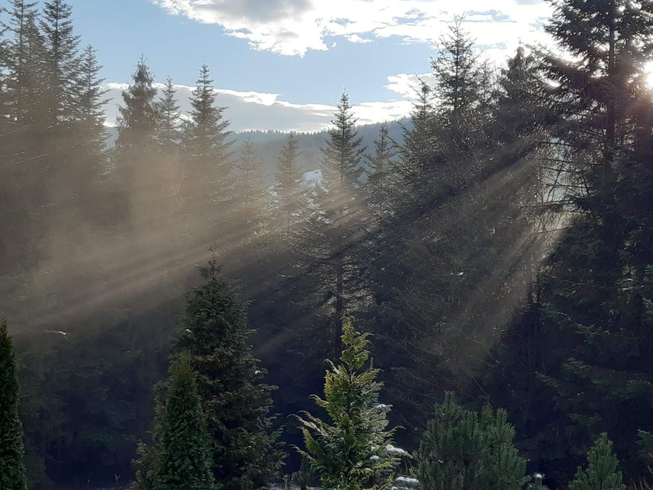 dom wolnostojący, 5 pokoi Poręba Wielka Koninki. Zdjęcie 5