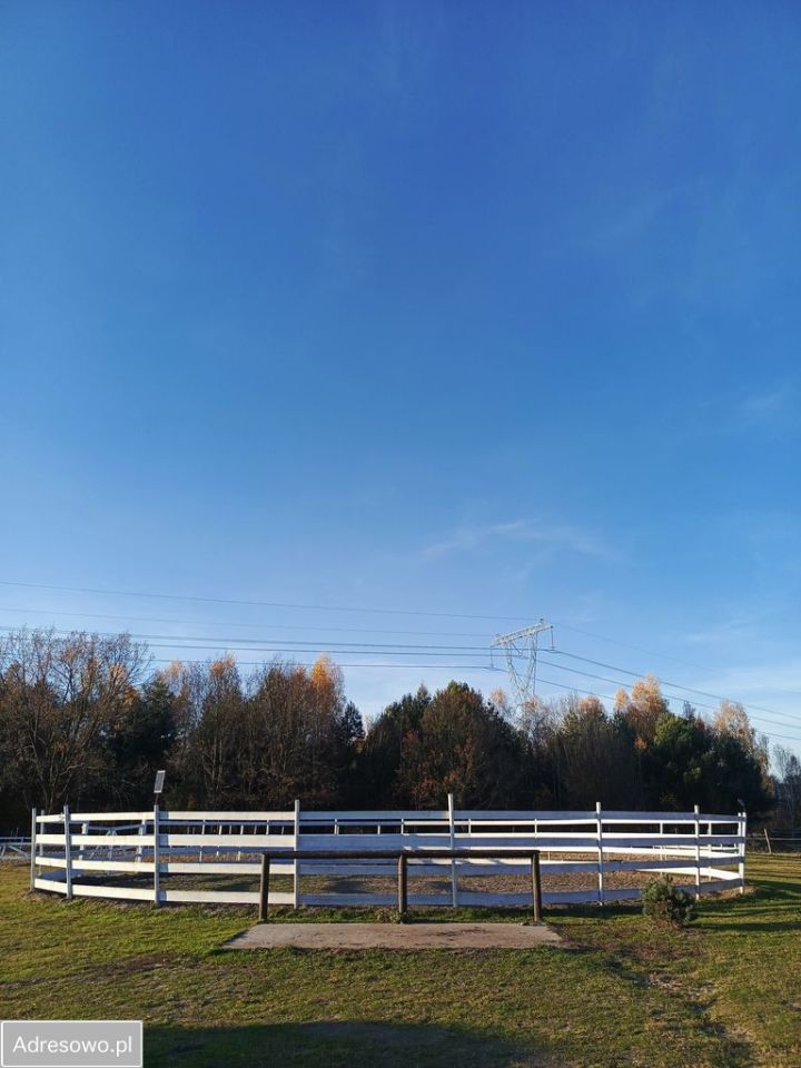 Działka siedliskowa Nowa Wieś. Zdjęcie 12