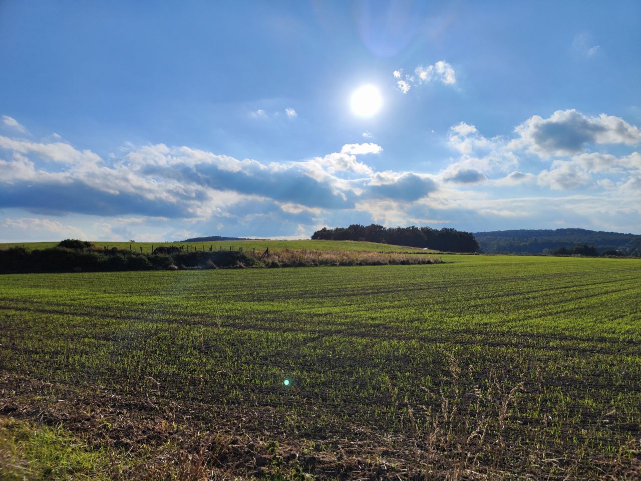 Działka budowlana Myślinów. Zdjęcie 7