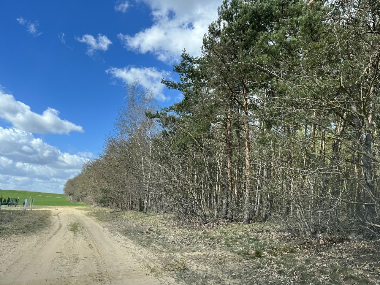 Działka budowlana Jaszkowo, Polna. Zdjęcie 6