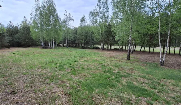 Działka rolno-budowlana Badulki Gęsia Niwa
