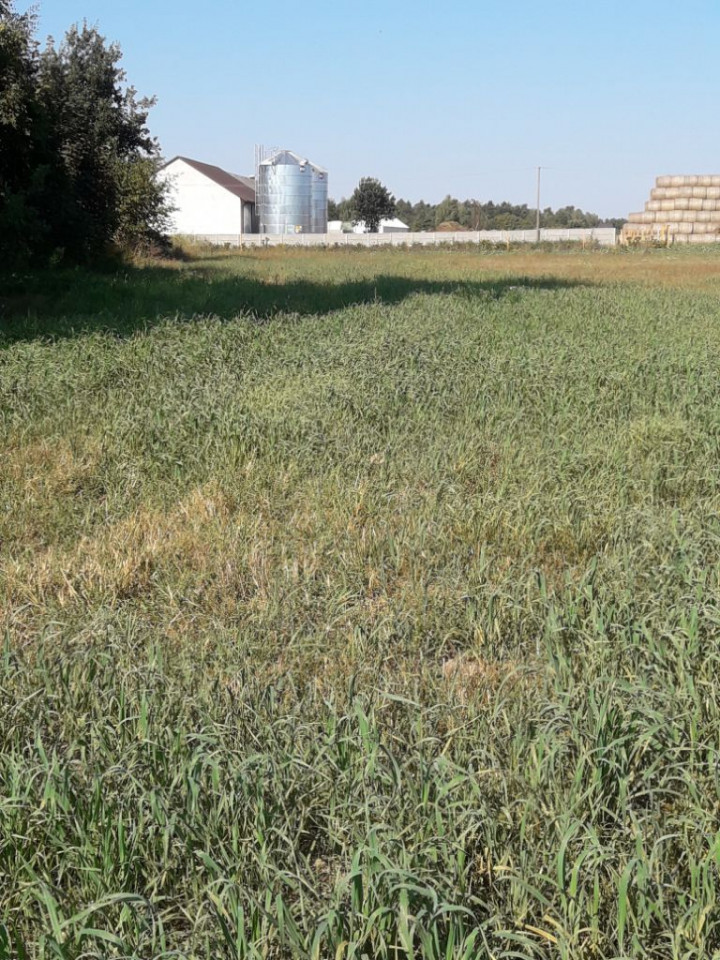 Działka inwestycyjna Warszewice. Zdjęcie 2