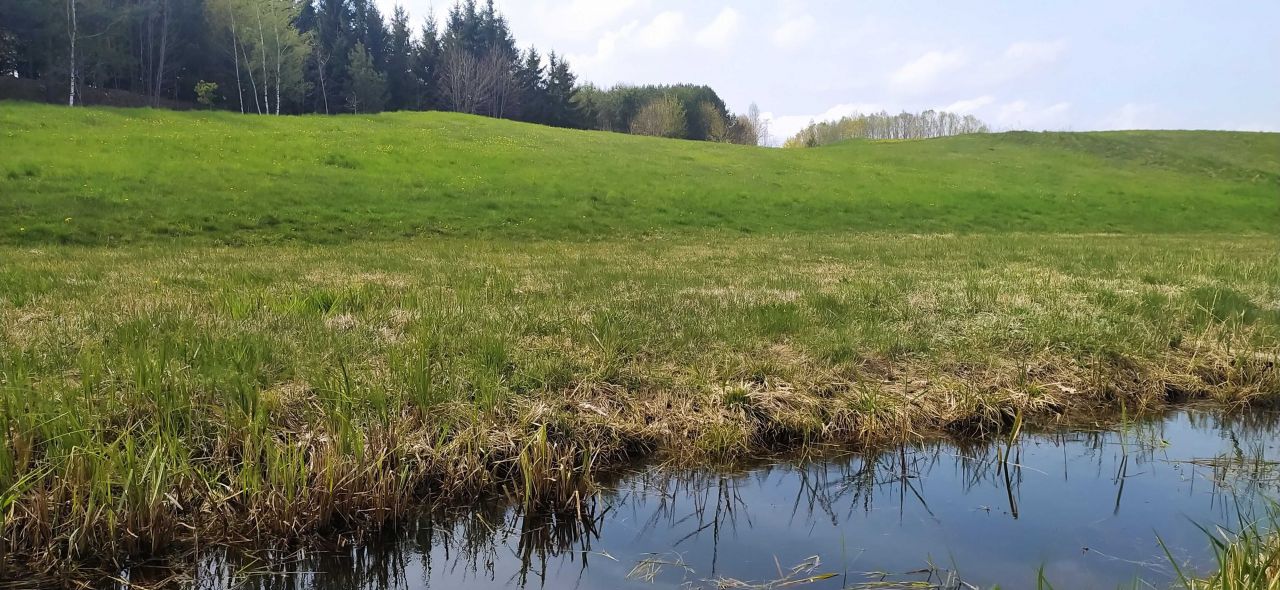 Działka Grauże Nowe. Zdjęcie 6