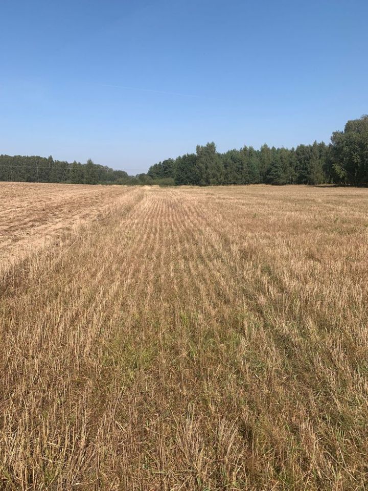 Działka rolna Głazów. Zdjęcie 6