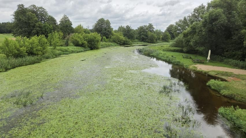Działka rekreacyjna Królewo