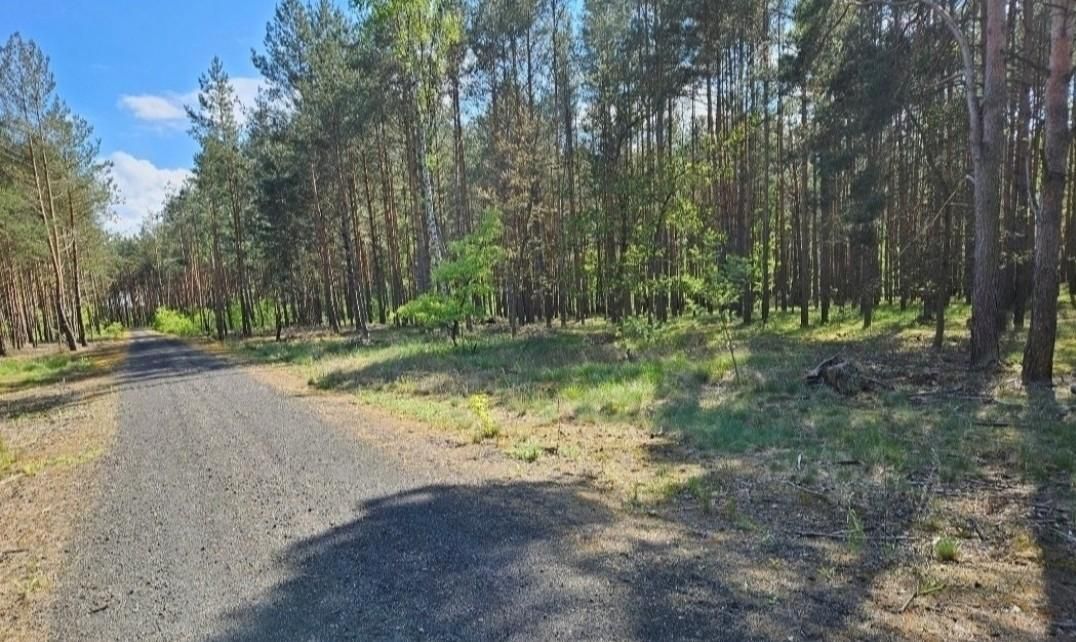 Działka budowlana Solec Kujawski, ul. Garbary. Zdjęcie 4