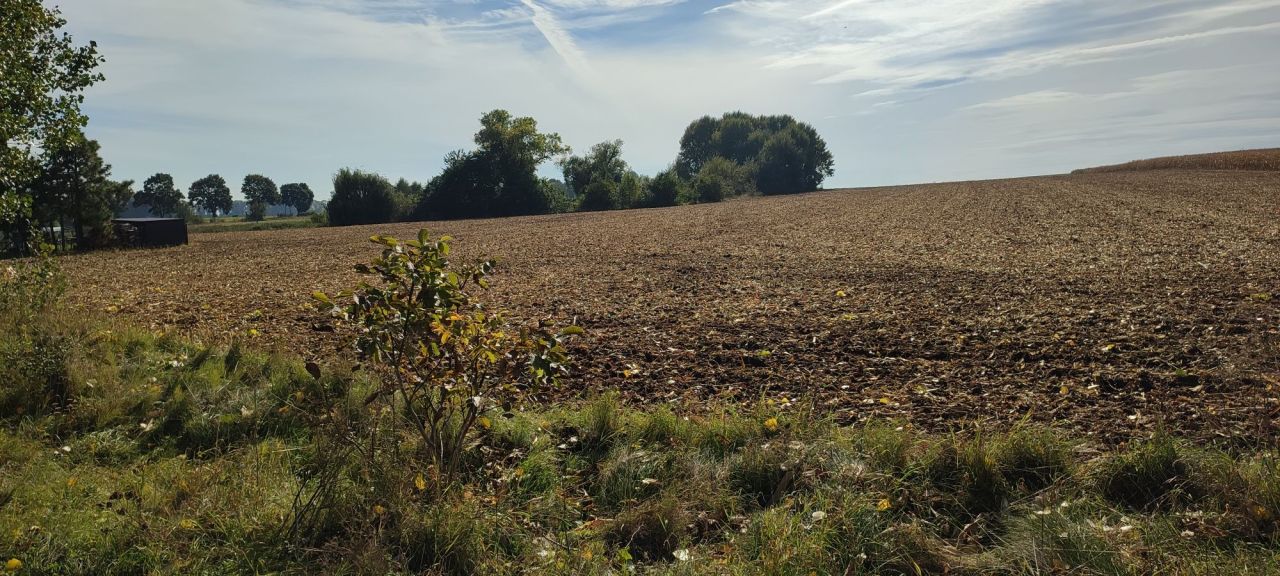 Działka budowlana Piotrków Borowski. Zdjęcie 2