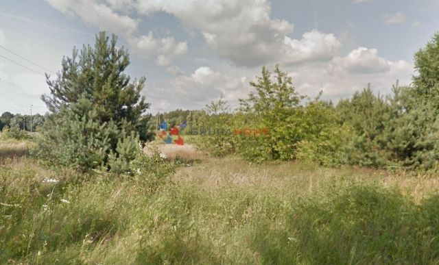 Działka budowlana Czarny Las. Zdjęcie 3
