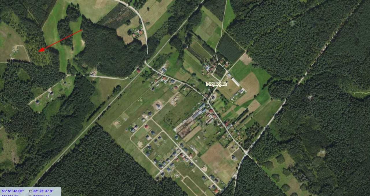 Działka leśna Przykopka. Zdjęcie 4