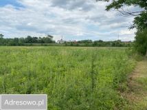 Działka inwestycyjna Lipnik. Zdjęcie 3