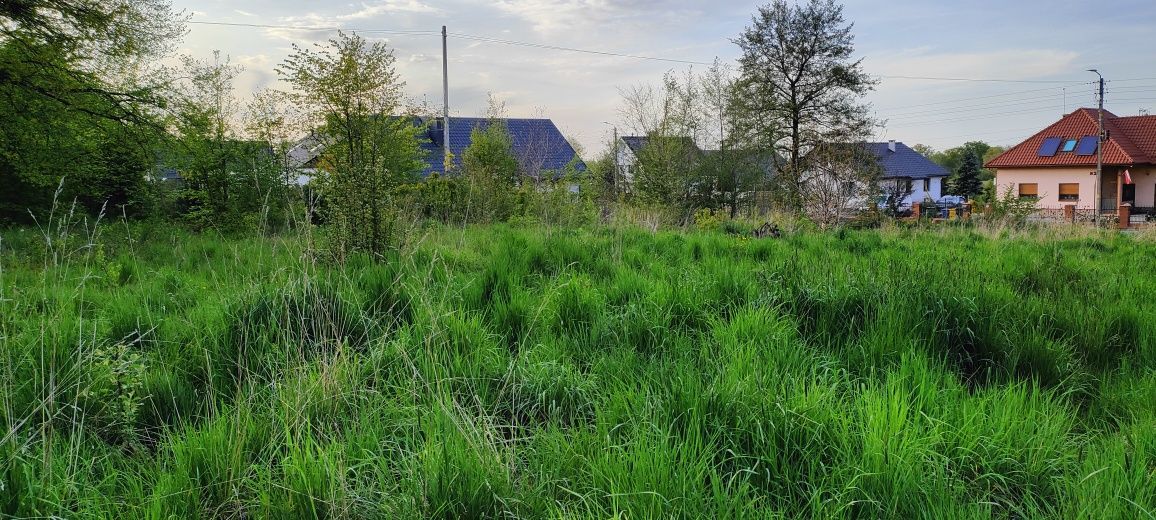 Działka budowlana Sady. Zdjęcie 5