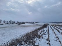 Działka budowlana Galiny. Zdjęcie 2