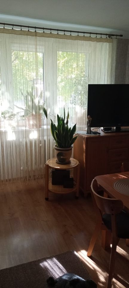 Mieszkanie 2-pokojowe Kutno Centrum, ul. Reja. Zdjęcie 12