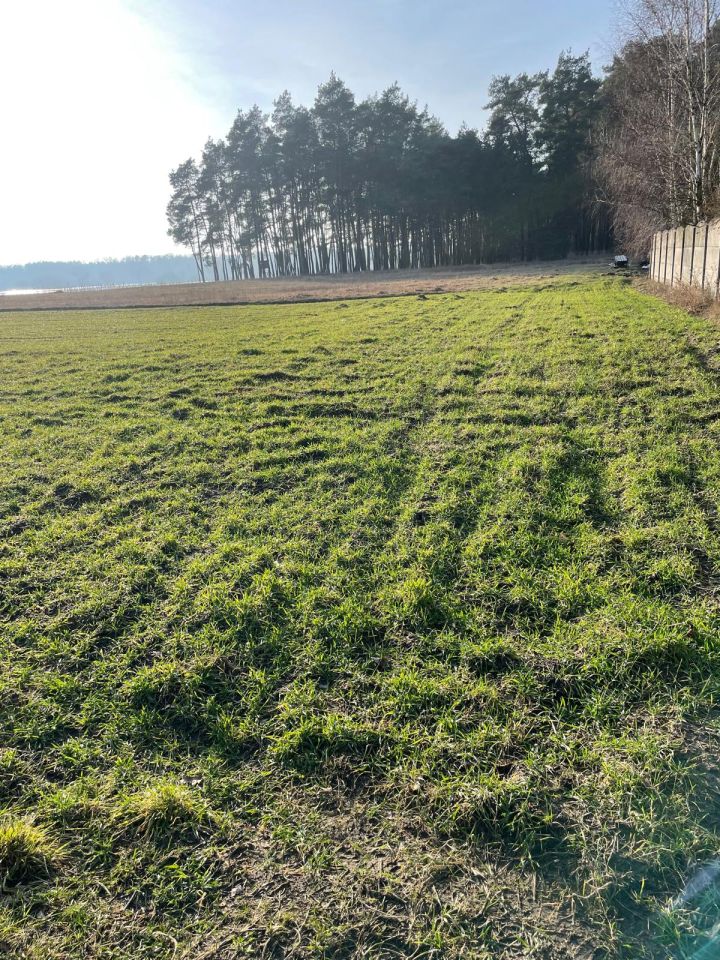 Działka budowlana Murzynowo Leśne, ul. Jodłowa. Zdjęcie 4