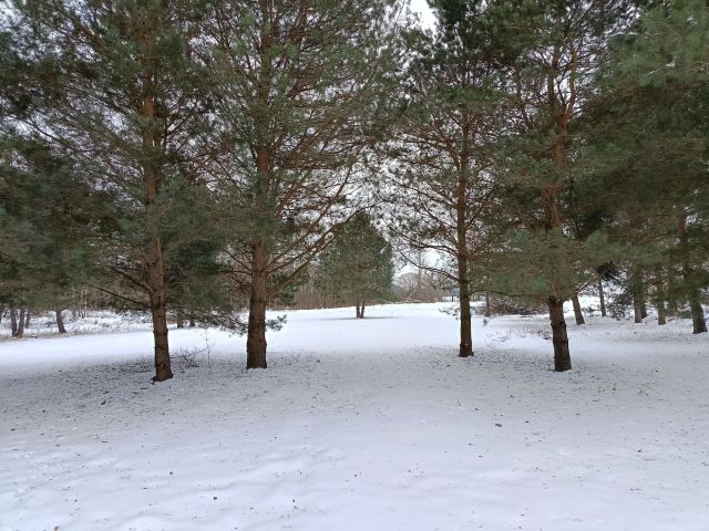 Działka budowlana Szramowo. Zdjęcie 1