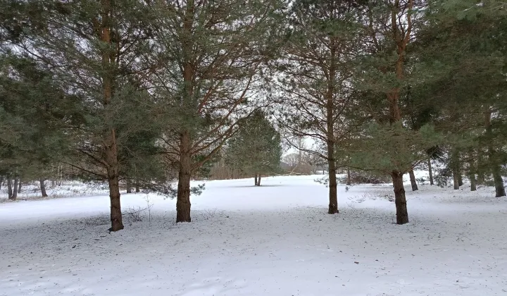 Działka budowlana Szramowo