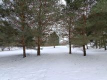 Działka budowlana Szramowo