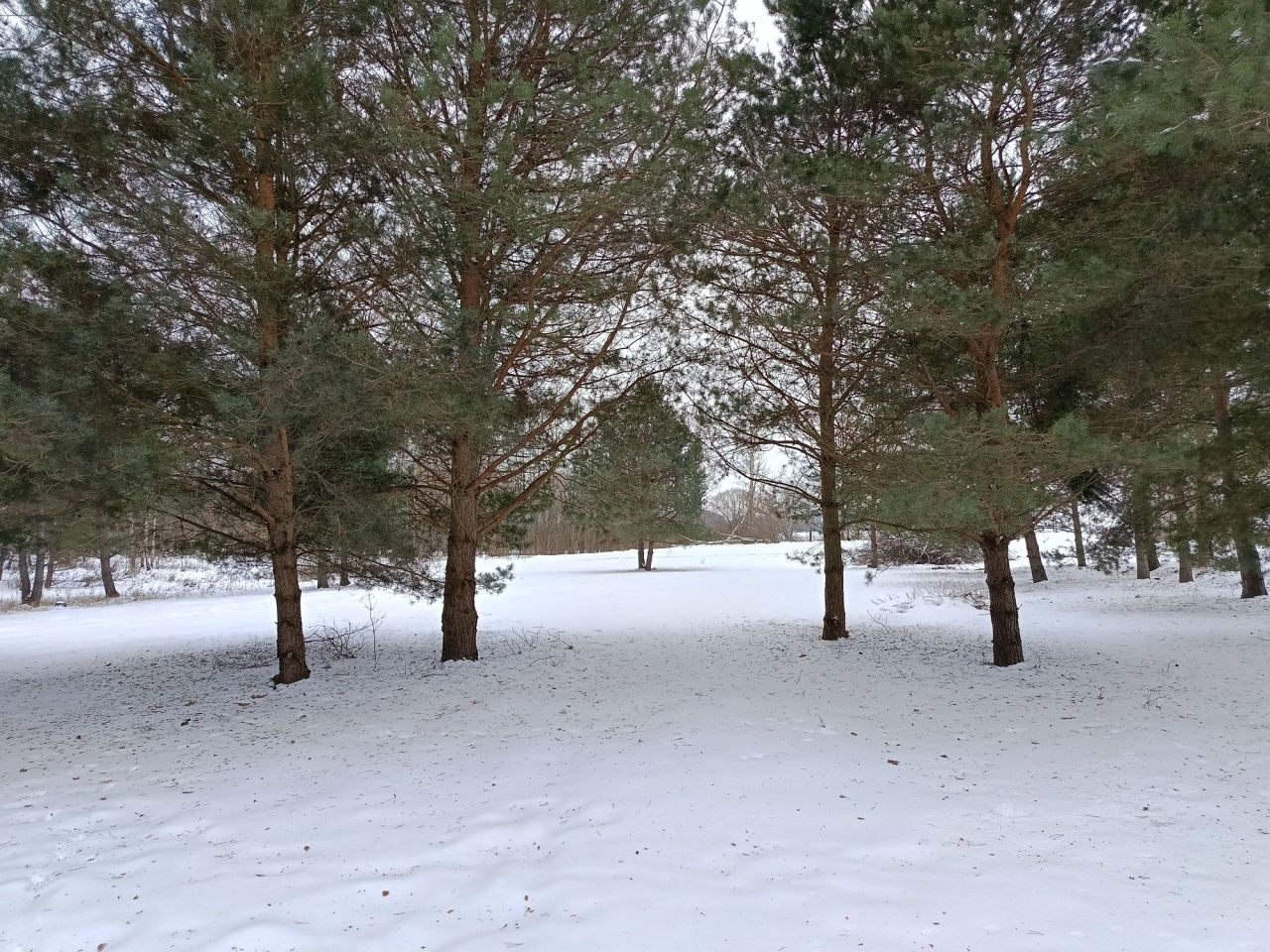 Działka budowlana Szramowo