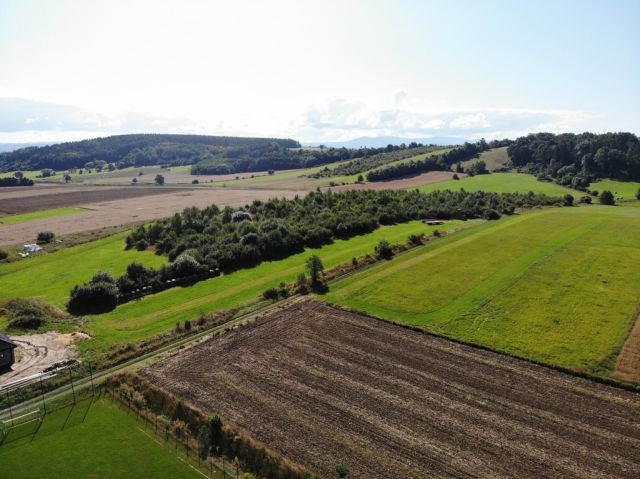 Działka budowlana Stary Wielisław. Zdjęcie 2