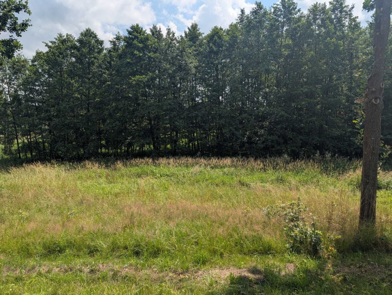 Działka budowlana Grodzisko. Zdjęcie 3