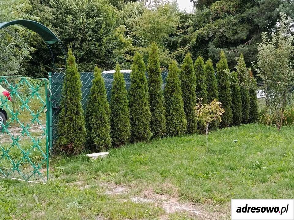 Działka rod Ząbki. Zdjęcie 6