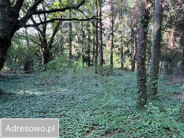 Działka rekreacyjna Popowo-Parcele, ul. Brzozowa. Zdjęcie 7