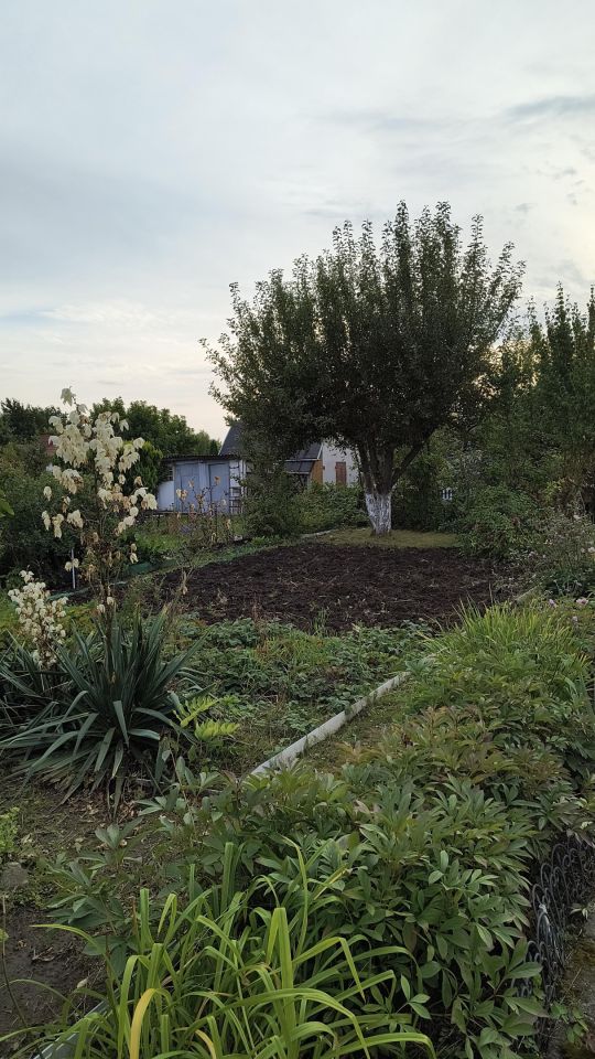 Działka rod Słupsk Zatorze, ul. Stefana Banacha. Zdjęcie 2