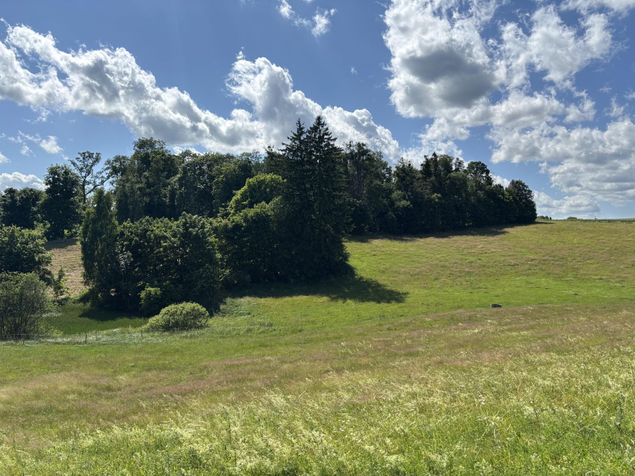 Działka rolna Dźwierzuty, ul. Michała Kajki. Zdjęcie 3
