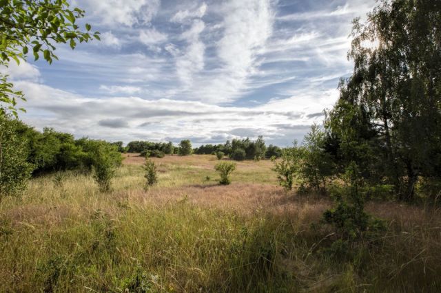 Działka budowlana Sarbsk. Zdjęcie 5