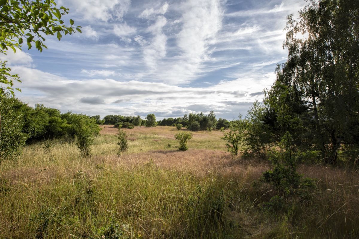 Działka budowlana Sarbsk. Zdjęcie 5