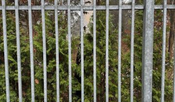 Działka budowlana Bezrzecze, ul. Willowa