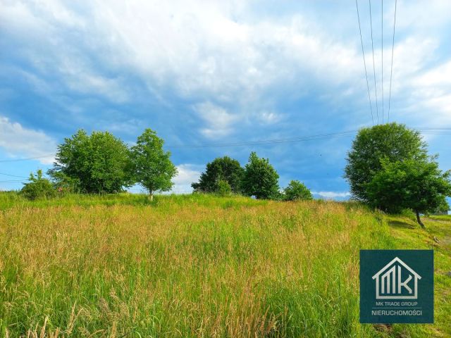 Działka budowlana Szarów. Zdjęcie 6