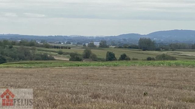 Działka rolna Czułówek. Zdjęcie 11