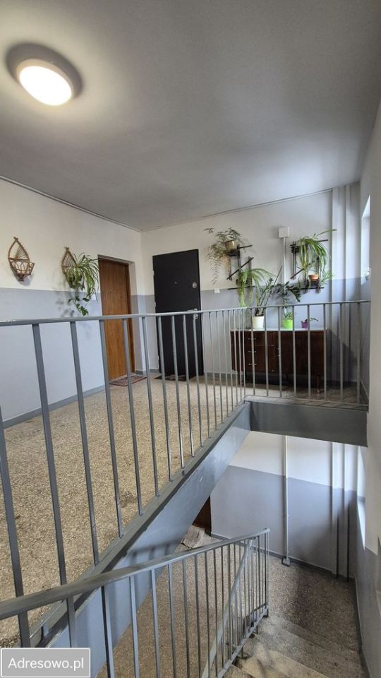 Mieszkanie 2-pokojowe Zabrze Guido, ul. Jastrzębia. Zdjęcie 7