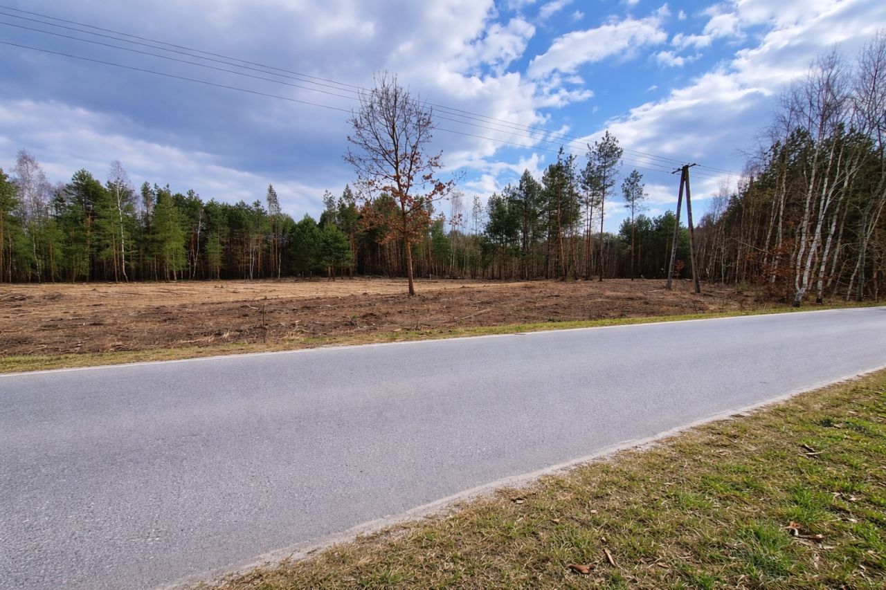 Działka rolno-budowlana Budy, Brodowa Góra. Zdjęcie 2