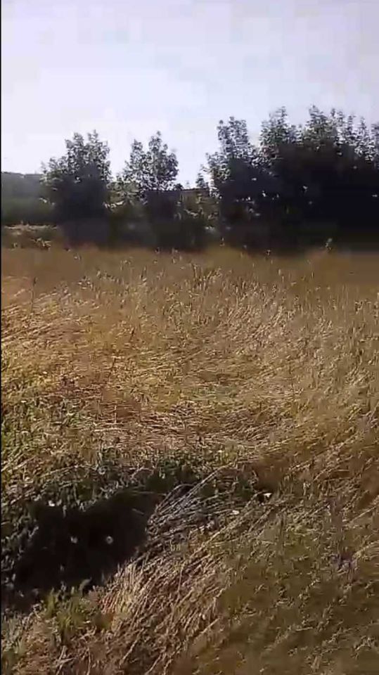 gospodarstwo Rumy. Zdjęcie 3