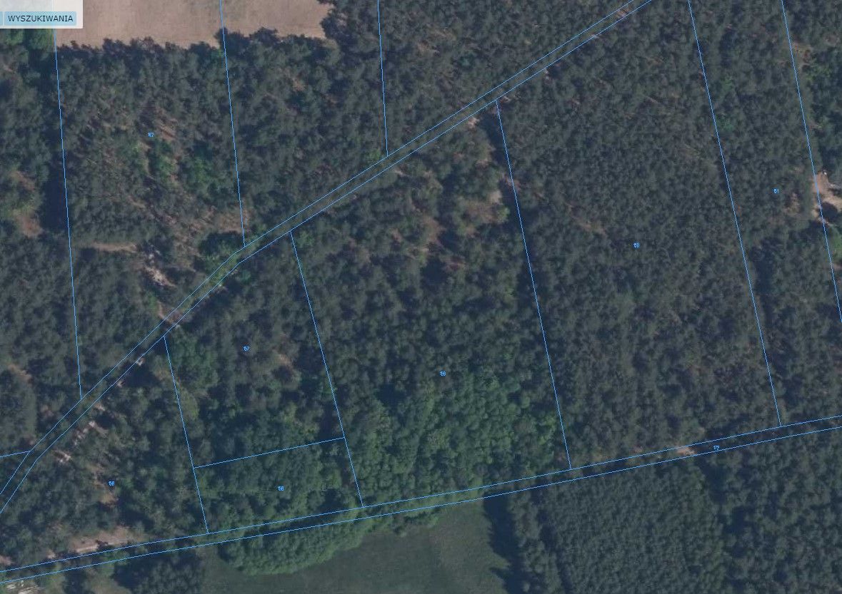 Działka leśna Kondrajec