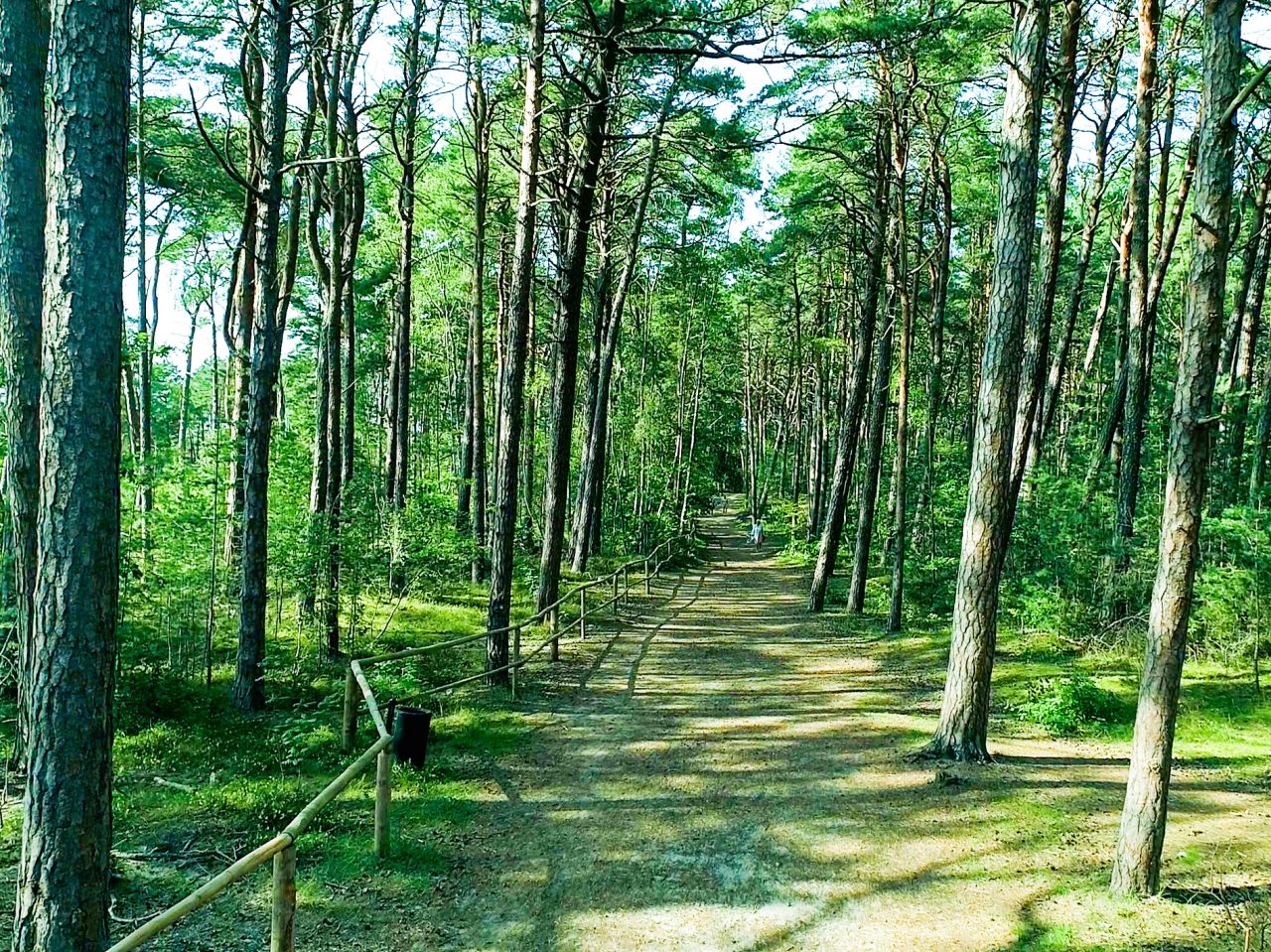 Działka budowlana Międzywodzie, ul. Wolińska. Zdjęcie 6