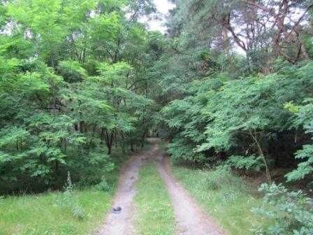 Działka Stanisławów Drugi, ul. Wolska. Zdjęcie 3