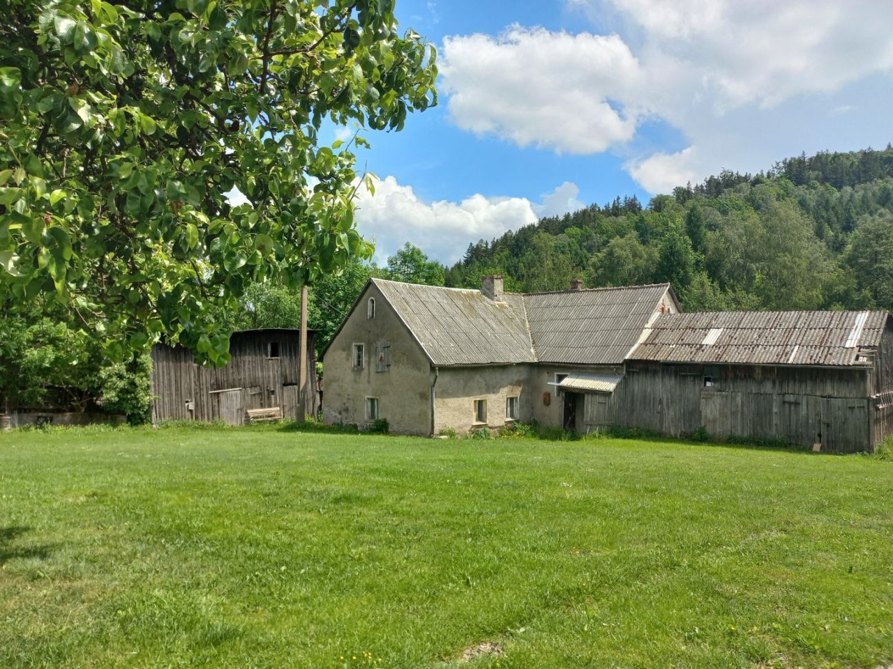 Działka siedliskowa Wieściszowice