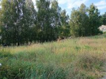 Działka budowlana Górki Małe. Zdjęcie 3